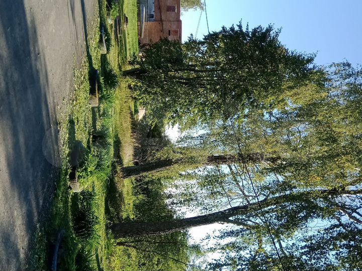 Участок 40 сот. (ИЖС)