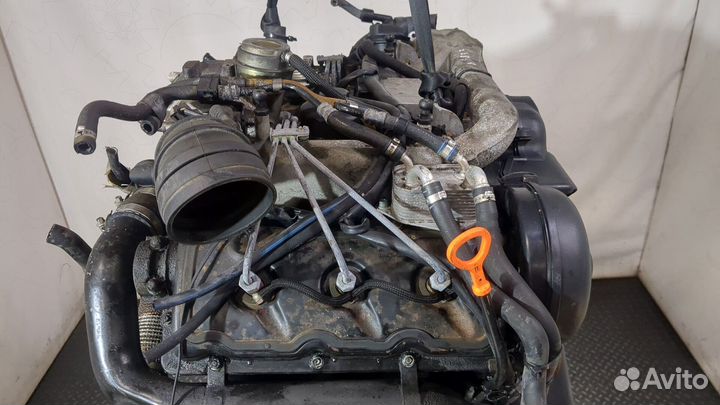 Двигатель Audi A6 (C5) Allroad, 2005