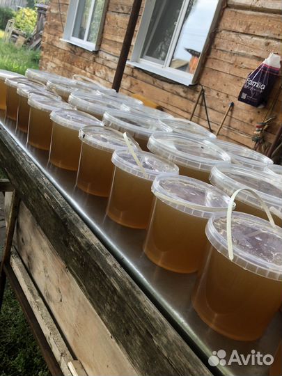 Мед цветочный 2023