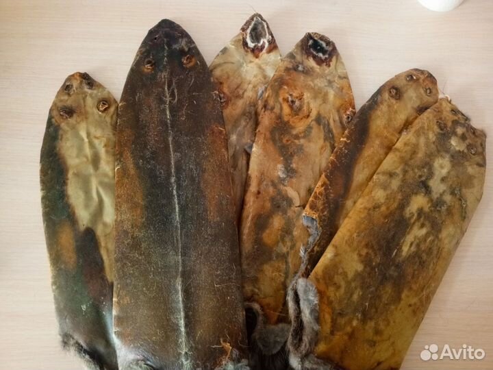 Шкурки ондатры