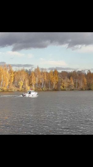 Комната 13 м² в 3-к., 2/22 эт.