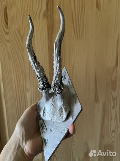 Рожки косули крашенные