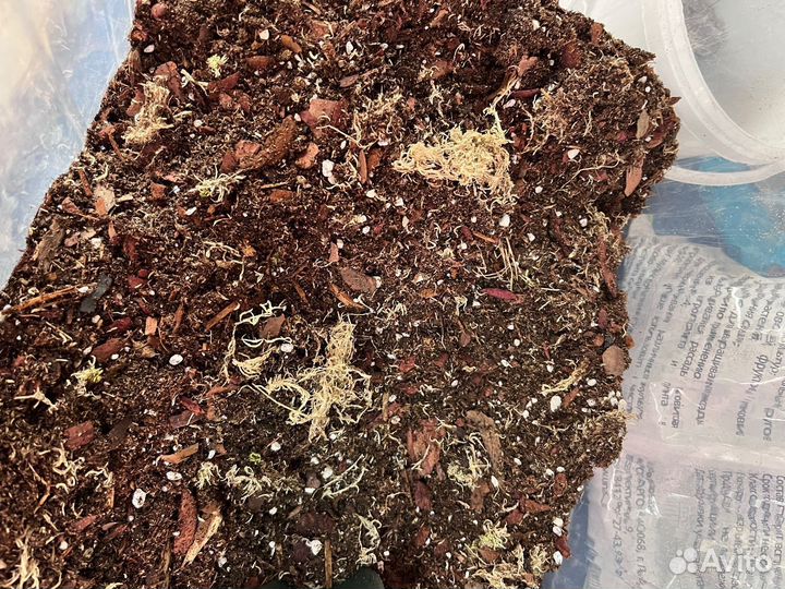 Грунт для цветов