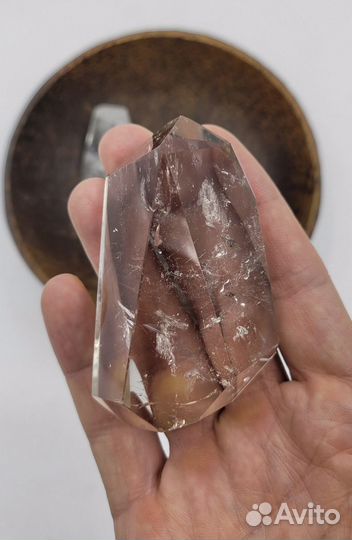 Большой аммонит из септария