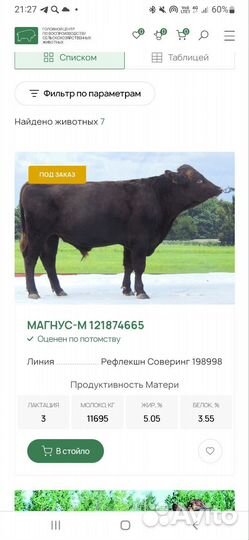 Корова дойная
