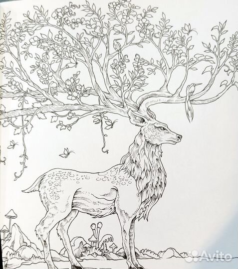 Раскраска для взрослых. Mythomorphia