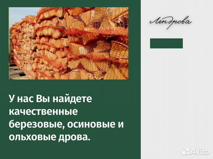 Дрова березовые