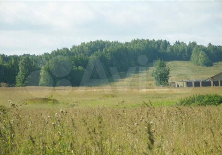 Участок 50 сот. (ИЖС)