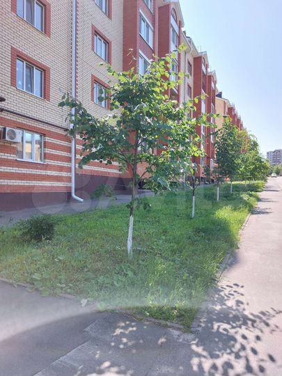 Свободного назначения, 32 м²