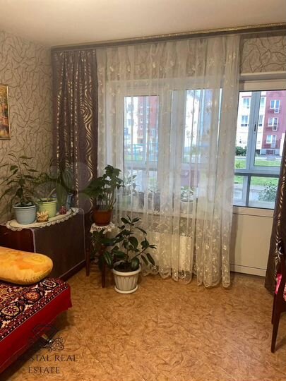 2-к. квартира, 51,3 м², 1/3 эт.