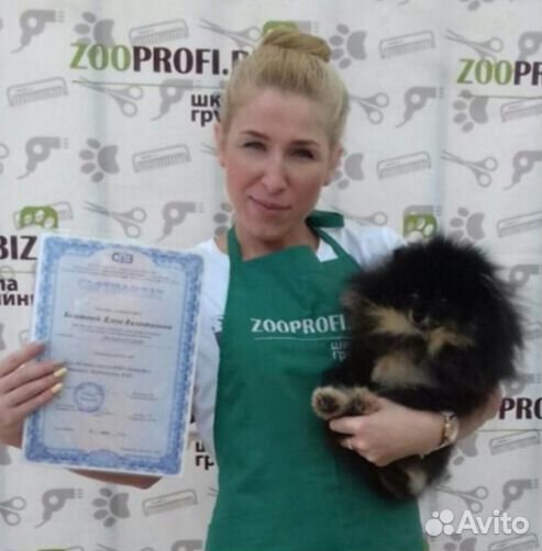 Стрижка собак