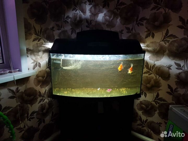 Аквариум с тумбой 100 литров