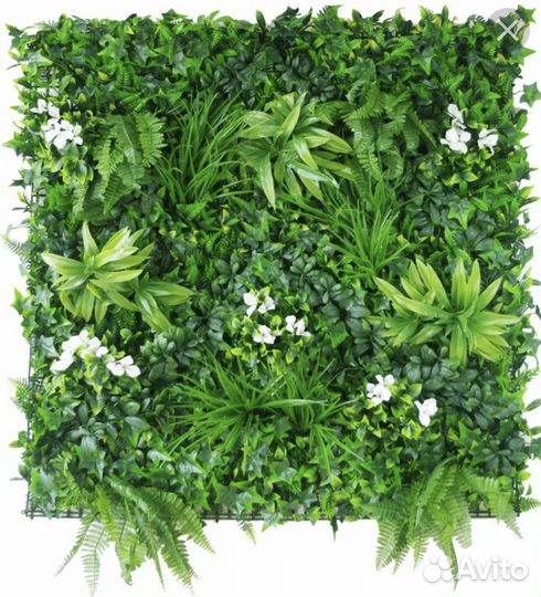 Фито панно, озеленение стен иск растениями и мхом