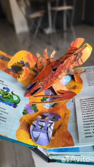 Панорамные книги энциклопедии Акулы и Хищники