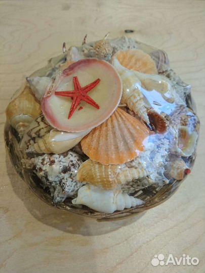 Ракушки в аквариум