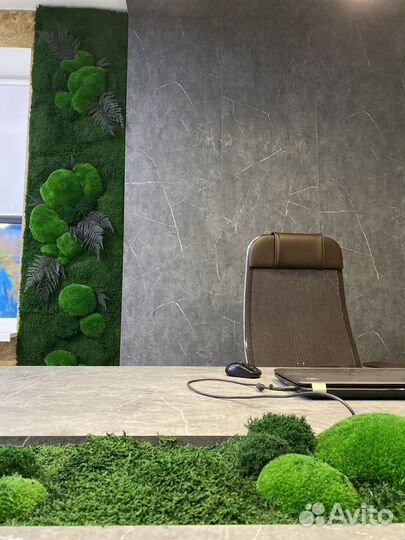 Мох стабилизированный. Вертикальное озеленение