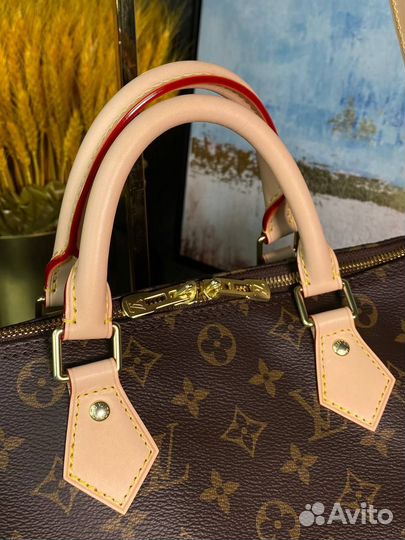 Сумка Louis Vuitton