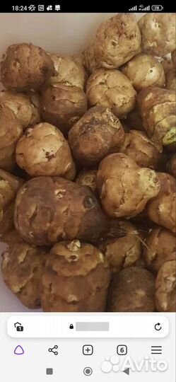 Табак Вирджиния 202,мяты,калина,чубушник и др