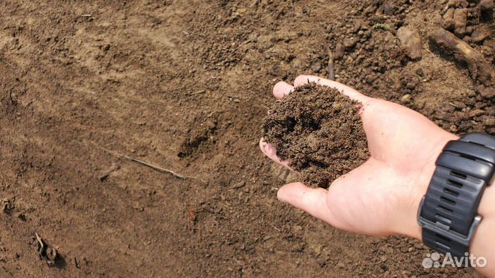 Земля садовая