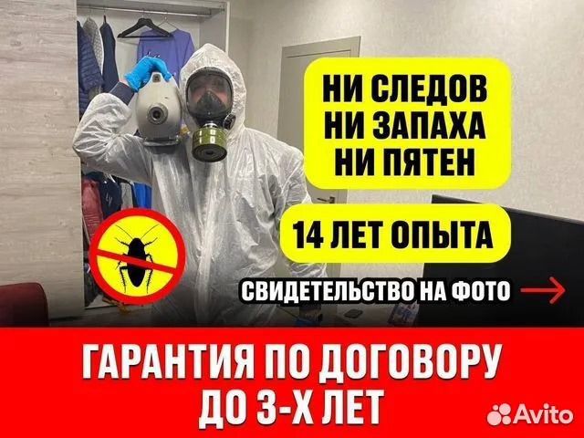 Уничтожение тараканов, клопов, клещей, муравьев