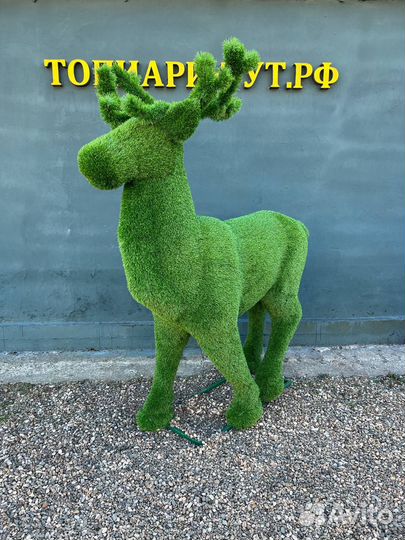 Топиари Топиарные фигуры Садовые фигуры