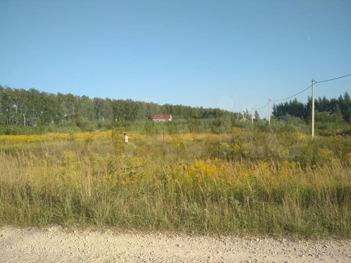 Участок 24 сот. (СНТ, ДНП)