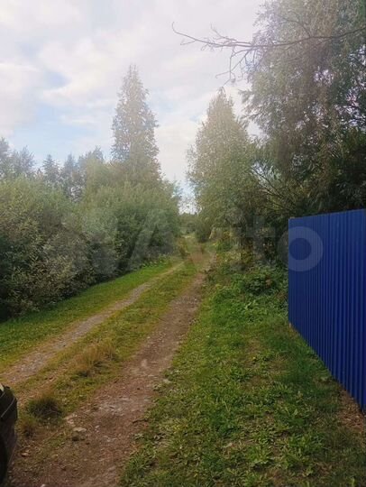 Участок 6,9 сот. (СНТ, ДНП)