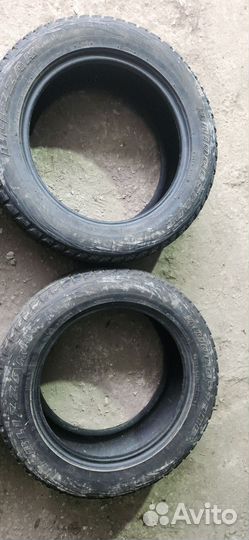 Bridgestone Blizzak DM-V1 255/55 R18