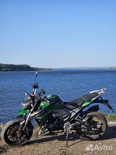 Regulmoto t-leopard 300