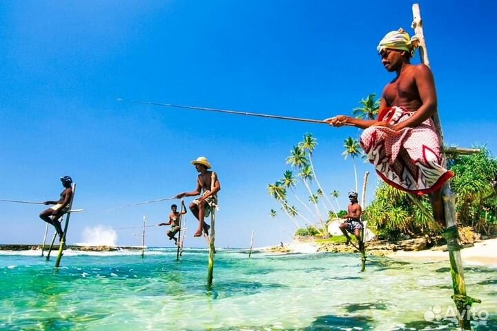 Туры на Шри-Ланку