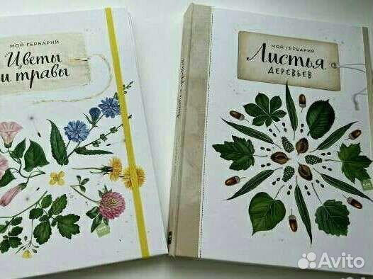 Мой гербарий. Цветы и травы. Листья деревьев