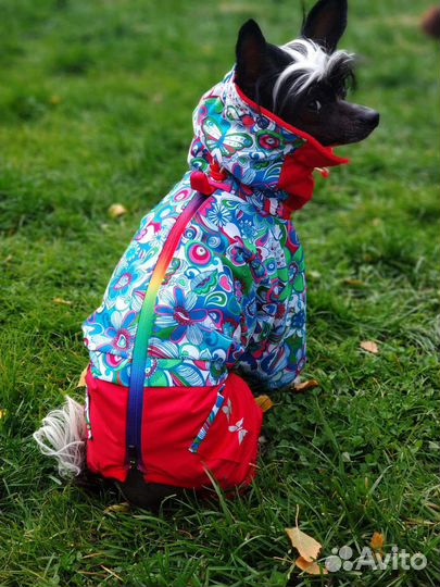 Одежда для собак
