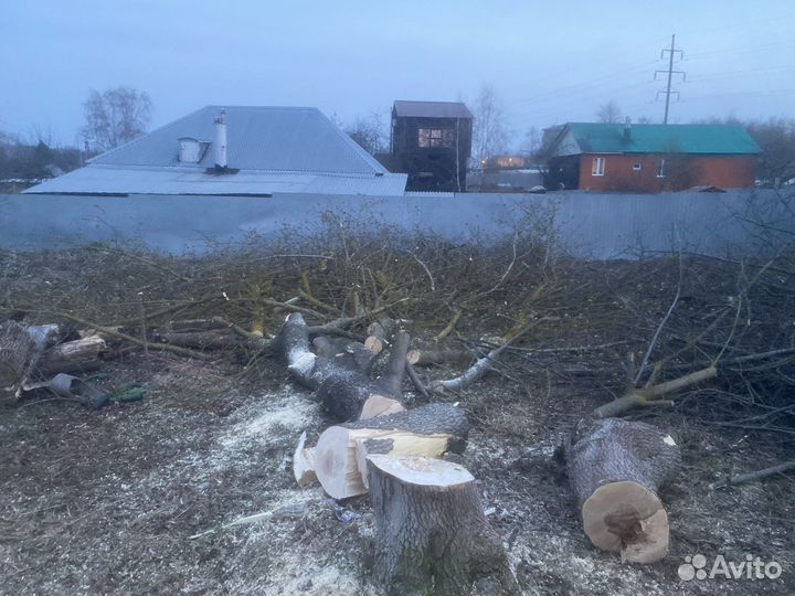 Опиловка деревьев, спил