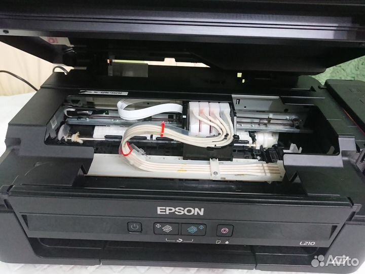 Принтер Epson L210. Не работает