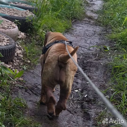 Умная девочка детей любит