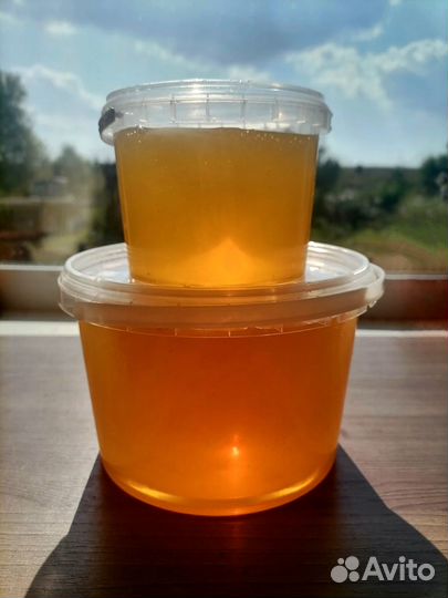 Натуральный липовый мед 2023