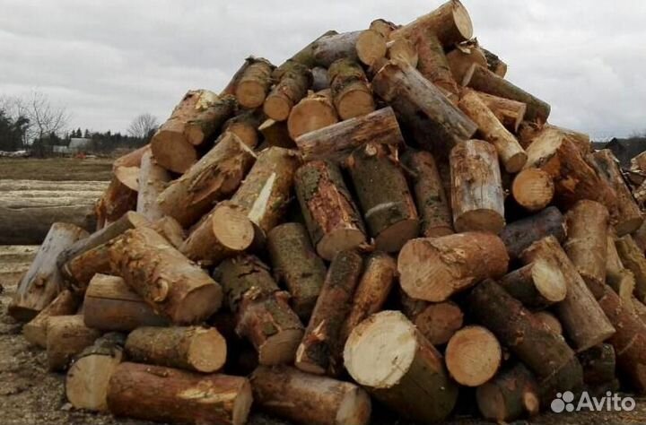 Дрова сухие