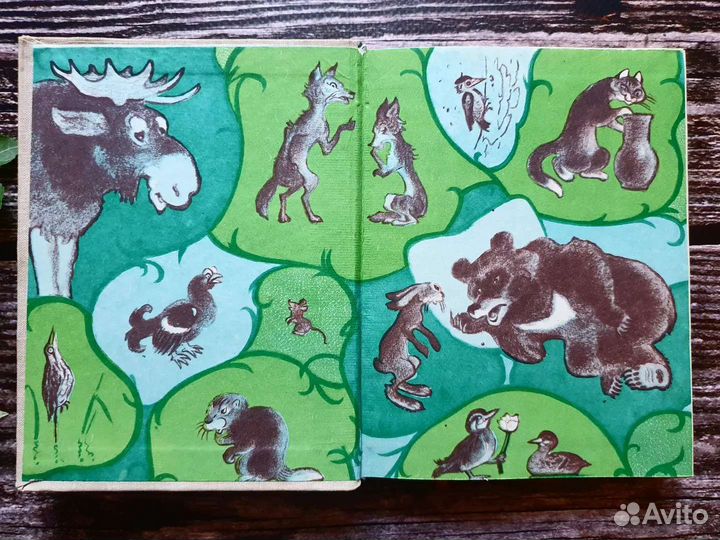 Братья Бондаренко. Горицвет 1968 г