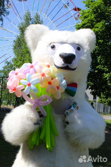 Поздравление от Карельского Мишки и Кота Учёного