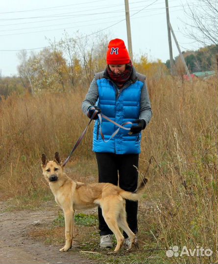 Активный Дин