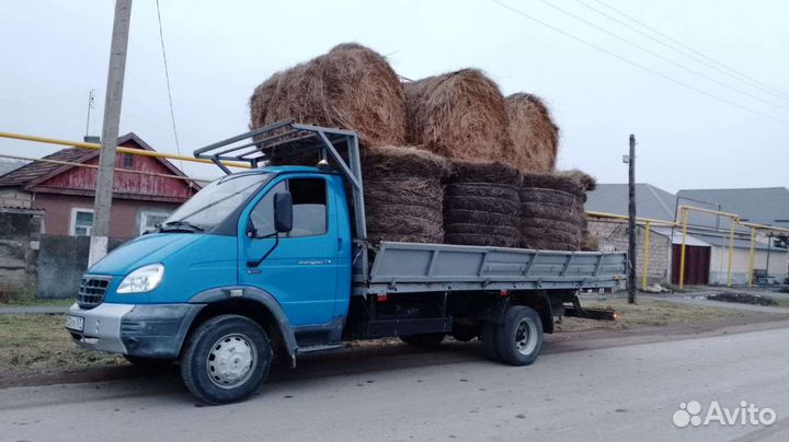 Сено в рулонах