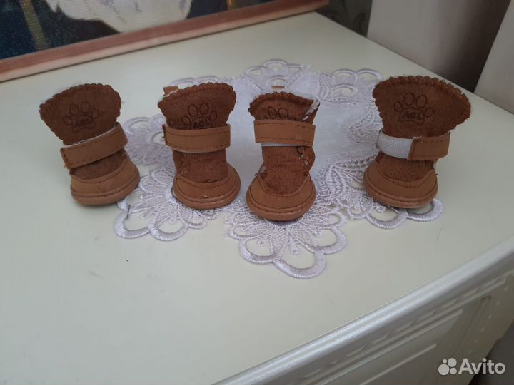 Обувь для собак мелких пород