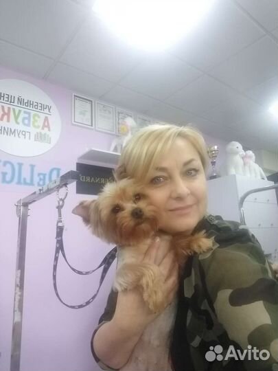 Стрижка собак