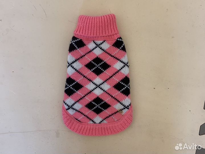 Одежда для кошек