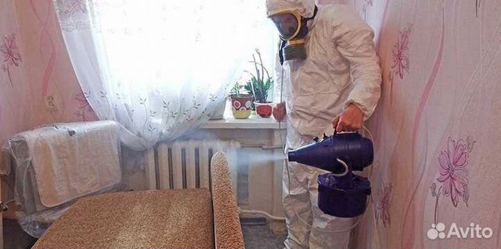 Средство для Уничтожения клопов травля тараканов дезинфекции