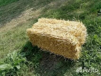 Сено солома опилки