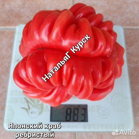 Семена коллекционных томатов ч.2