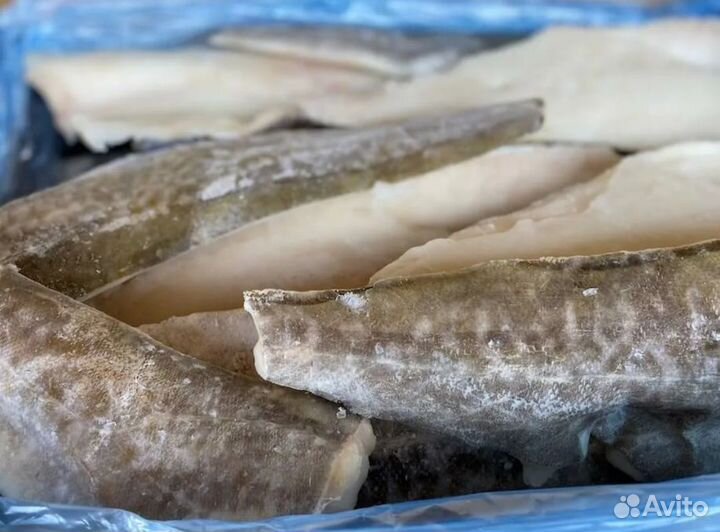 Филе трески и тушка трески свежемороженая