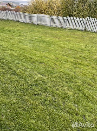 Посевной газон