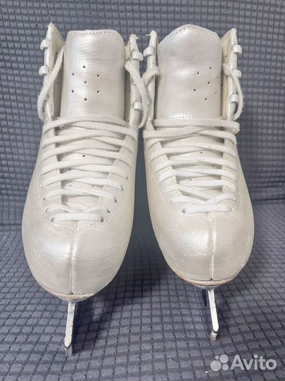 Коньки edea chorus 230